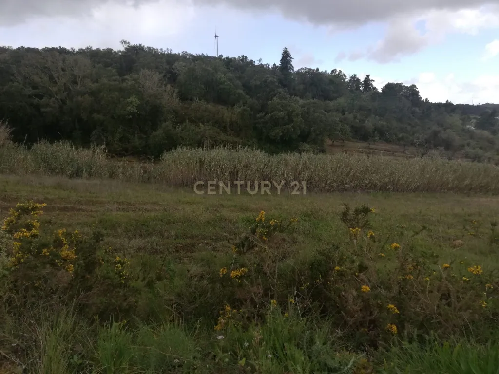 Terreno Agrícola na Zona Oeste - Image 6